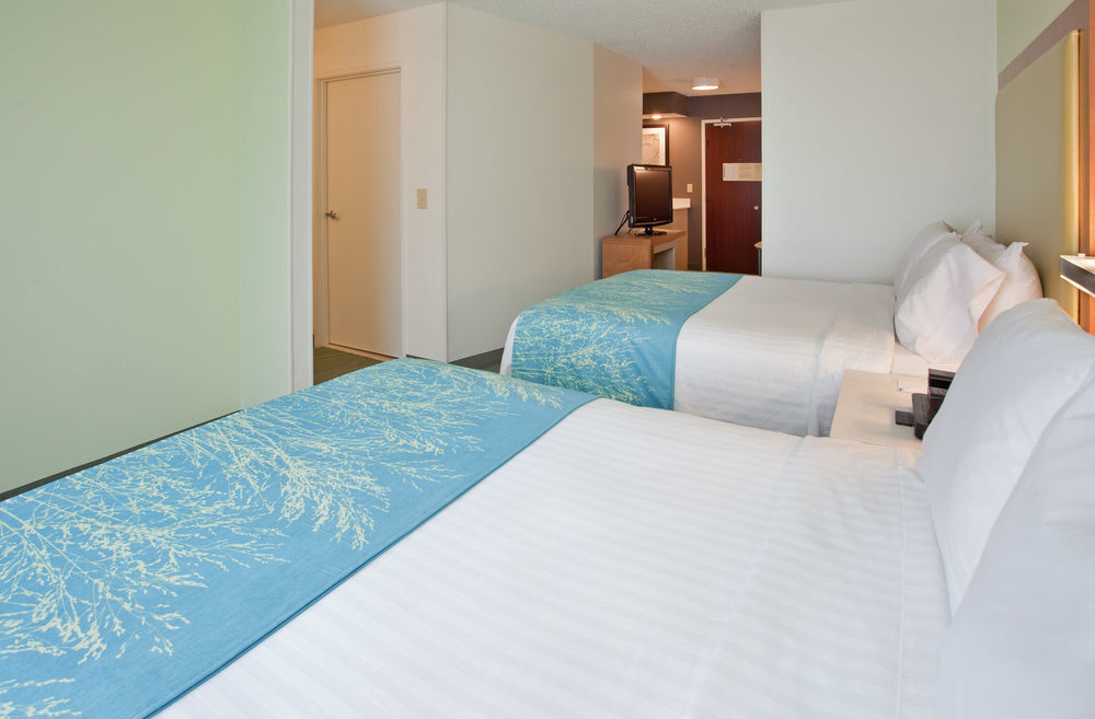 Springhill Suites By Marriott Houston Brookhollow Buitenkant foto